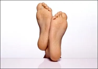 Quand on dit de quelqu'un qu'il est bte comme ses pieds , on dit que lui qu'il ...