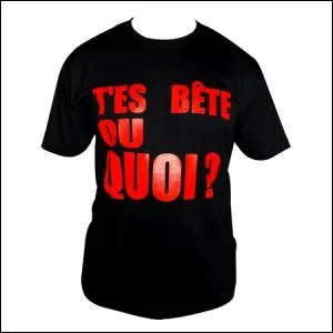 Quand vous dites  une personne :   T'es bte !  , vous lui dites...