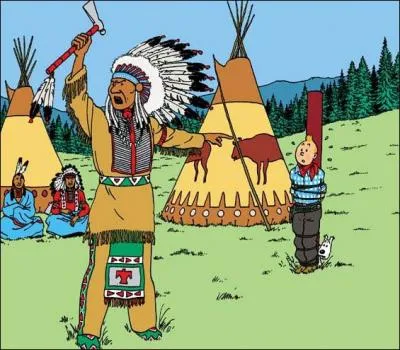 De quelle couverture de Tintin vient cette image ?