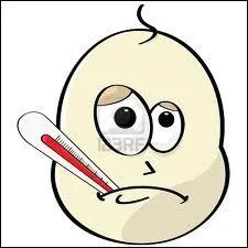 Quel est cet instrument qu'on utilise aussi bien chez le docteur qu' la maison, pour contrler notre fivre ?