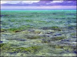 L'Eau de mer recouvre 70 % de la surface du globe, et reprsente quel pourcentage de la totalit de l'eau prsente sur la plante ?