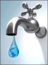 L'eau du robinet est une eau naturelle qui est traite, afin de la rendre potable. Outre les filtres de sable et les filtres de charbon actif, elle est dsinfecte au chlore le plus souvent ou ?