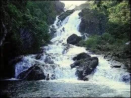 Quel artiste franais chantait  L'eau vive  ?