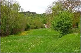Cette photographie champtre et rafraichissante peut illustrer le parfum dnomm ?