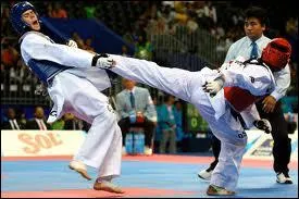 Quel art martial est originaire de Corée ?