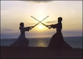 Cela signifie ''art du sabre'' . L'origine de cette pratique remonte aux samouraïs.