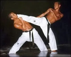 Quelle est la signification du mot ''karaté'' ?