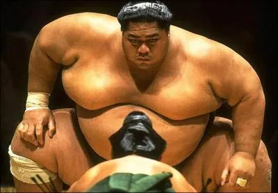 Quel président français est friand de sumo et faisait fréquemment des voyages au Japon pour y assister ?