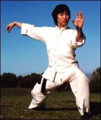 Qui jouait le rôle de Kwai Chang Caine, le moine Shaolin de la série ''Kung Fu'' dans les années 70 ?