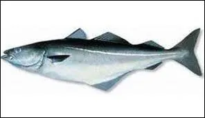 Quel est le synonyme de Lieu noir ?