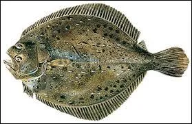 Quand je ne suis pas dgust au champagne, que suis-je si vous me mettez tout entier dans une activit ?