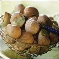 Comment nomme-t-on l'escargot petit gris en Charente ?