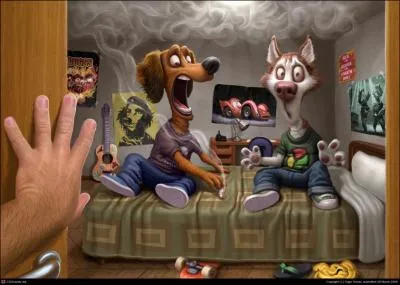 N'y a-t-il qu'un seul chien sur cette image ?