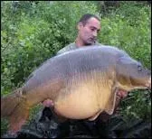 Carpe se traduit par :