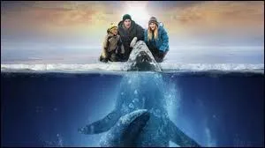 Quel est ce film de Ken Kwapis ?