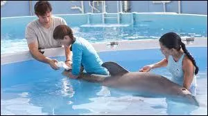 Quel est ce film de Charles Martin Smith ?