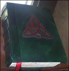 Comment s'appelle le livre ?