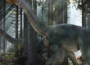 Quiz Cretaceous fauna (part 2)