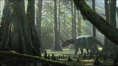 Quel est le nom de ce dinosaure de 5 m de long ?