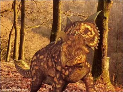 Combien mesurait l'einiosaurus ? C'est un des derniers cratopsiens qui ait vcu, il avait une corne centrale recourbe vers le bas.
