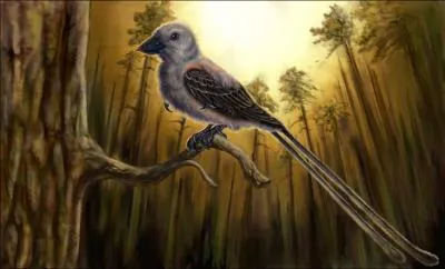 Le confuciusornis est le descendant de quel animal ?