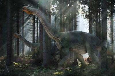 Quel est le nom de ce sauropode ? Il mesure 15 m de long et a t retrouv essentiellement en Mongolie.