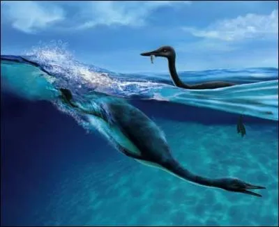 Le hesperornis tait un excellent nageur et plongeur mais tait presque incapable de se dplacer sur la terre ferme. Que mangeait-il essentiellement ?