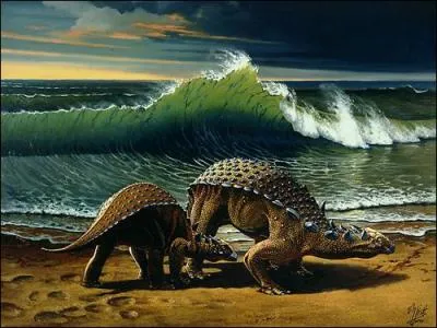 Quel est le nom scientifique du minmi ?