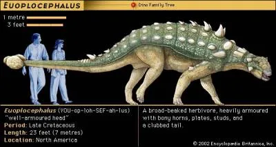 L'euoplocephalus est un dinosaure caractristique des ankylosauridae avec une masse au bout de sa queue et un dos cuirass. Que signifie son nom ?