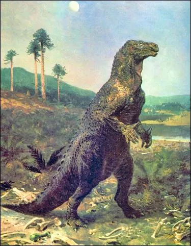 L'iguanodon est connu car il est le deuxime dinosaure qui ait t dcouvert aprs le megalosaurus. En quelle anne trouve-t-on le premier tibia ?