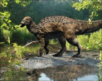 Quel est le nom de cet hadrosaure de 13 m de long ?