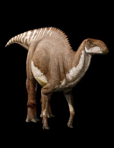 Le brachylophosaurus est un dinosaure qui voit son nom dans le Guinness des records. Pourquoi ?