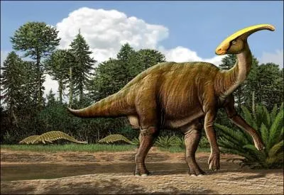 Le parasaurolophus, hadrosaure assez rare, a pu tre tudi grce  de trs bons spcimens. Quelle hypothse est fausse concernant sa fameuse crte nasale ?