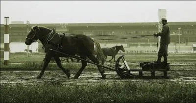 Cette race de trait japonaise, trs populaire dans son pays, est utilise dans des courses spciales appeles  trait-tract . Ces chevaux descendent des percherons, de bretons et de trait belges. C'est :