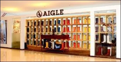 Aigle