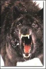 Comment s'appelle l'hrone ?