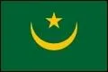 A quel pays musulman appartient ce drapeau ?