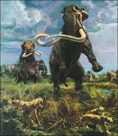 Quel livre de Robert Louis Stevenson est le premier livre illustr par Zdenek Burian ?