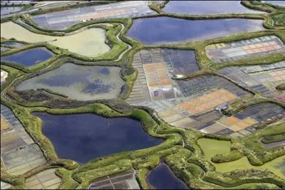 Dans quel pays se trouve ce paysage ?