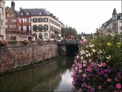 Dans quel pays se trouve ce paysage ?