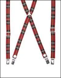 Ces bretelles soutenaient le Budget... au Ministre !