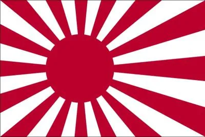 Ce drapeau est celui de :