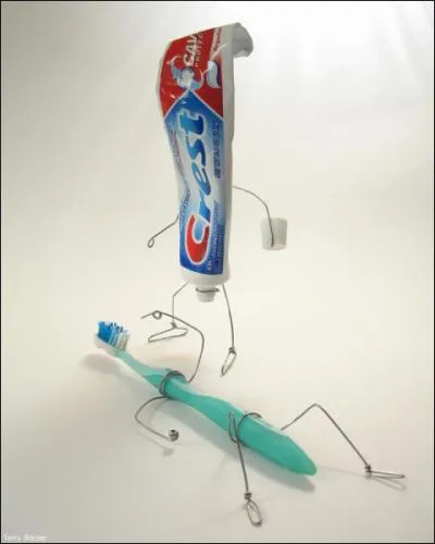 Quel animal n'a pas les dents qui repoussent continuellement ?