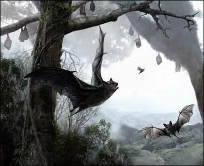 C'est l'une des premires chauve-souris et donc l'un des premiers mammifres volants. O trouve-t-on les fossiles de l'Icaronycteris ?