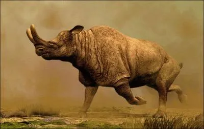 Quel est le nom de ce gros rhinocros d'au moins 2, 5 m de haut ?