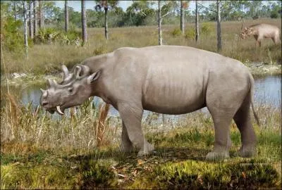 L'Uintatherium vivait dans l'actuelle Amrique du Nord. Il avait des protubrances osseuses sur la tte et un cerveau minuscule.  quoi lui servaient ses deux grosses canines ?