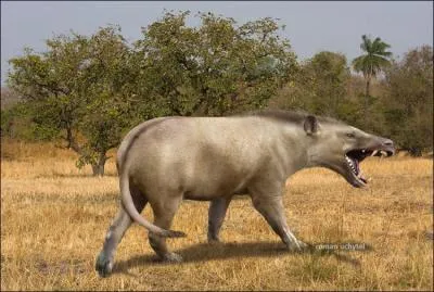 Ce gros carnivore de 3, 7m de long est l'Andrewsarchus, genre qui s'est teint il y a 36 millions d'annes. Qui sont ses descendants les plus proches ?
