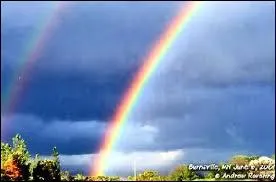 Le violet est la ...