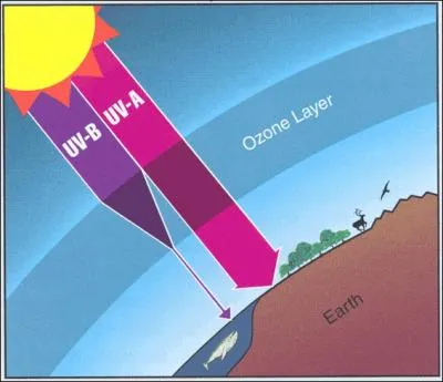 Les rayons qui nous viennent du soleil sont appels des rayons...