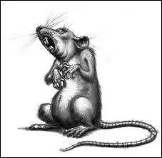 Attention ma morsure peut t'envoyer  l'hpital :